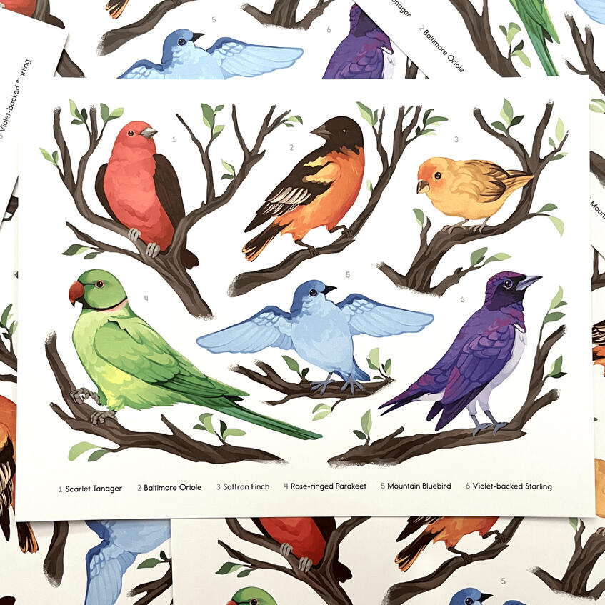 Rainbow Birds print