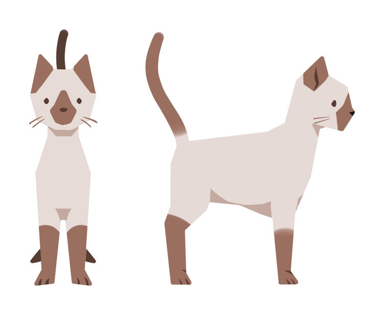 The Cat
